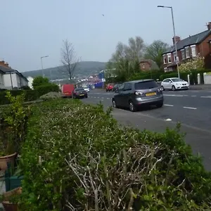 Comfy Wee House Bed & Breakfast Belfast